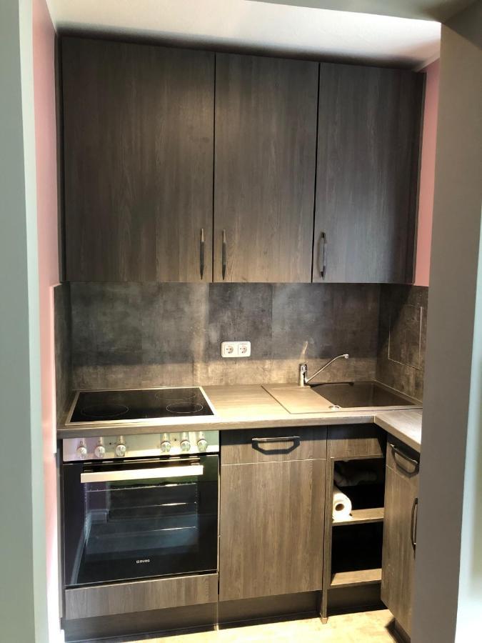 Studio Apartment In Dresden-Neustadt Экстерьер фото