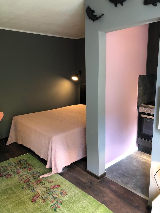 Studio Apartment In Dresden-Neustadt Экстерьер фото